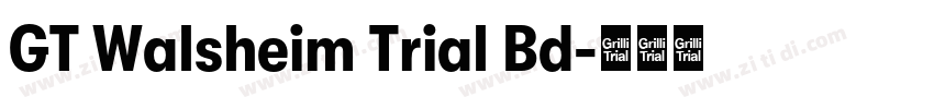 GT Walsheim Trial Bd字体转换